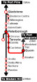 Thumbnail for version as of 20:28, 6 January 2024