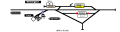 Thumbnail for version as of 15:35, 12 January 2021