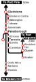 Thumbnail for version as of 10:31, 11 August 2023