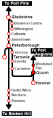 Thumbnail for version as of 16:41, 29 October 2021