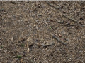 Thumbnail for version as of 10:26, 13 June 2025
